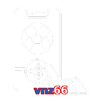 vnz66
