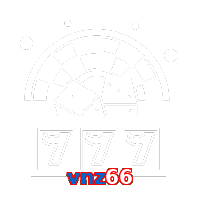 vnz66