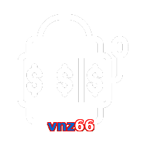vnz66