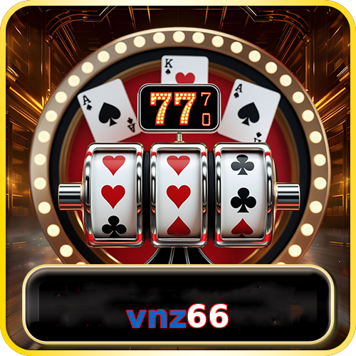 vnz66